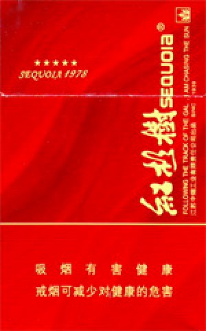 红杉树（软森）