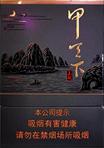 真龙（甲天下中支）  第1张
