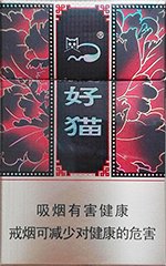 好猫（如意）  第1张