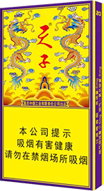 天子（传奇细支）  第1张