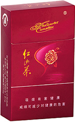 红山茶（紫）  第1张