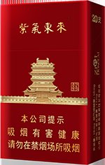 紫气东来（鹳雀楼）  第1张