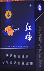红梅（硬蓝春）  第1张