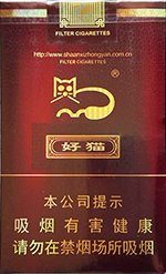 好猫（吉祥）  第1张