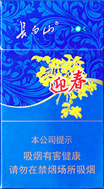 长白山（蓝尚）  第1张