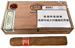 帕特加（喜维亚四号）  第1张