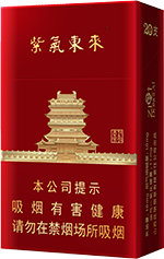 紫气东来（鹳雀楼）  第1张