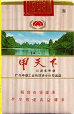 甲天下（漓江）  第1张