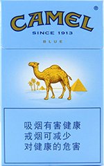 骆驼（蓝）  第1张