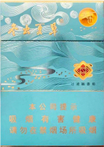 冬虫夏草（天边）  第1张
