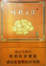 呼伦贝尔（天之韵）  第1张