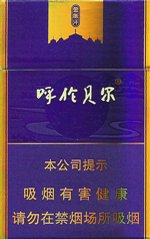 呼伦贝尔（金帐汗）  第1张