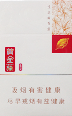 黄金叶（小黄金）  第1张