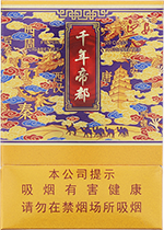 延安（千年帝都中支）  第1张