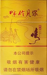 呼伦贝尔（草原情）  第1张