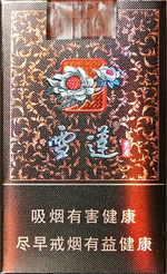 雪莲（岁月）  第1张