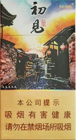 长城（初见青岩）  第1张
