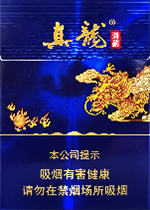 真龙（海韵中支）  第1张