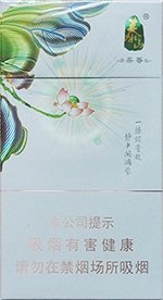泰山（茉莉香韵）  第1张