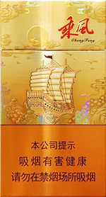 七匹狼（乘风启航）  第1张