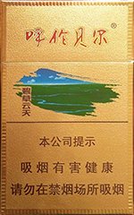 云烟（呼伦贝尔碧草云天）  第1张