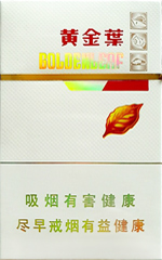 黄金叶（金丝路）  第1张