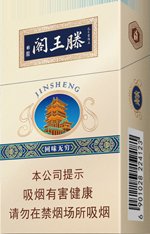 金圣（滕王阁·回味无穷）  第1张