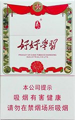 泰山（好好学习）  第1张