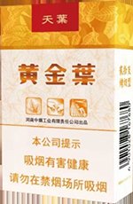 黄金叶（软天叶）  第1张