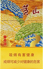 黄山（中国松）  第1张