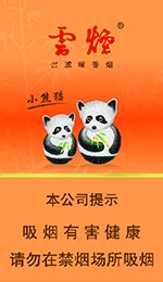 云烟（盛世小熊猫）  第1张