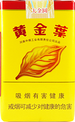 黄金叶（大金圆）  第1张