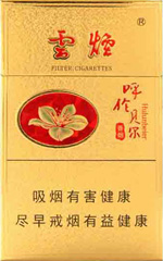 云烟（金呼伦贝尔）  第1张