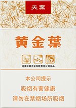 黄金叶（天叶中支）  第1张